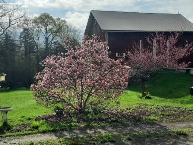 5352 Skinner Road, Arcadia, NY 14505