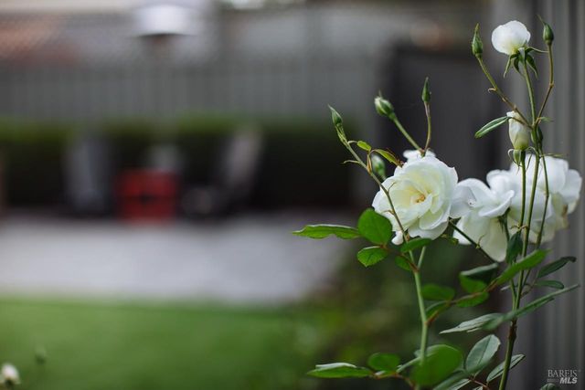 810 Wine Ct, Petaluma, CA 94954