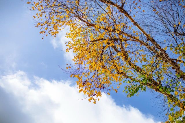 810 Wine Ct, Petaluma, CA 94954