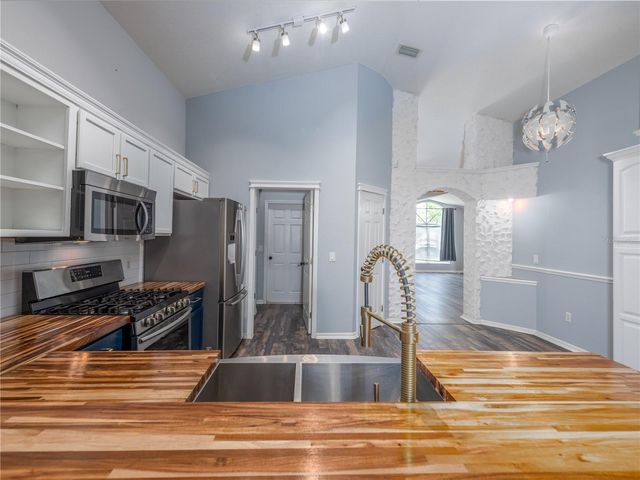12541 BLAZING STAR DRIVE, Tampa, FL 33626