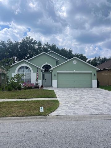 12541 BLAZING STAR DRIVE, Tampa, FL 33626