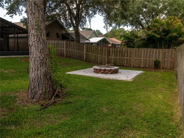 12541 BLAZING STAR DRIVE, Tampa, FL 33626