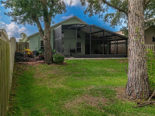 12541 BLAZING STAR DRIVE, Tampa, FL 33626