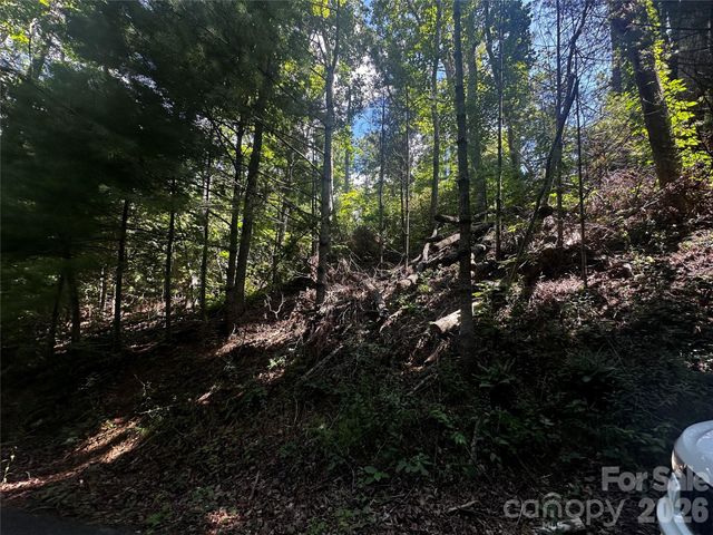 0 Ashland Mountain Road, Bakersville, NC 28705