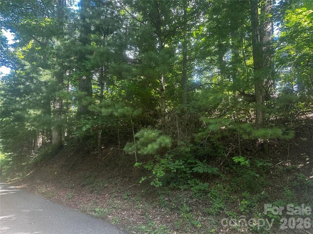 0 Ashland Mountain Road, Bakersville, NC 28705