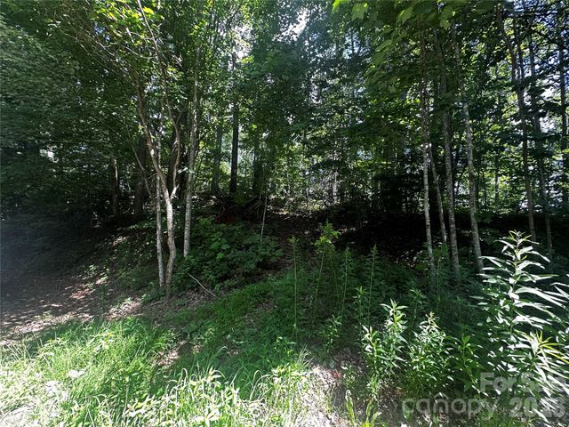 0 Ashland Mountain Road, Bakersville, NC 28705