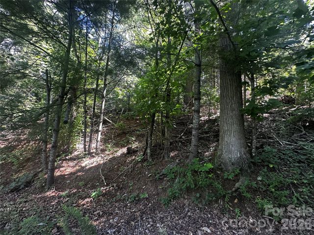 0 Ashland Mountain Road, Bakersville, NC 28705