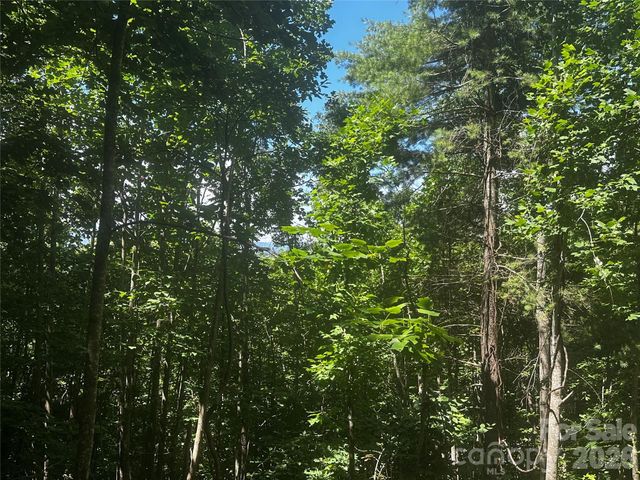 0 Ashland Mountain Road, Bakersville, NC 28705
