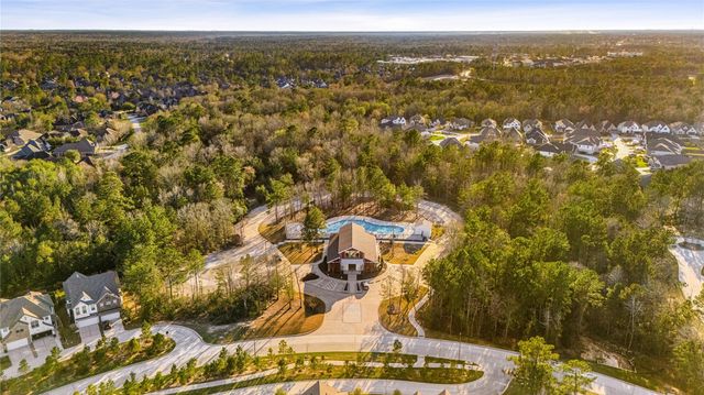 230 Sky Top Drive, Montgomery, TX 77316