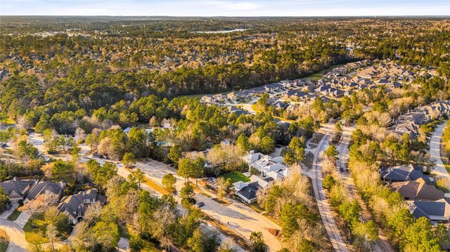 230 Sky Top Drive, Montgomery, TX 77316