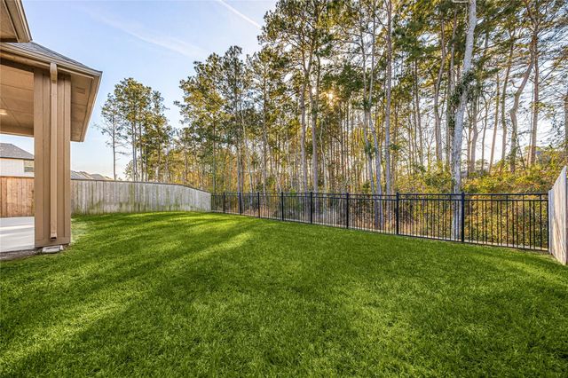 230 Sky Top Drive, Montgomery, TX 77316