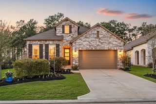 230 Sky Top Drive, Montgomery, TX 77316