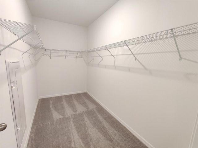 31576 BLUE PASSING LOOP, Wesley Chapel, FL 33545