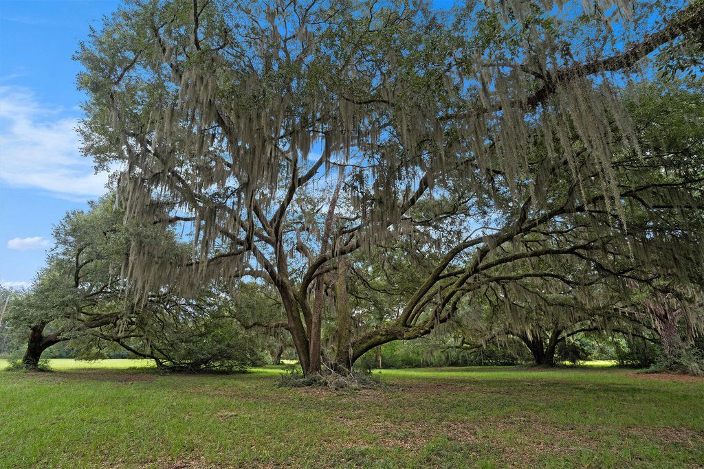 7817 Little Britton Road Lot C-1, Meggett, SC 29449