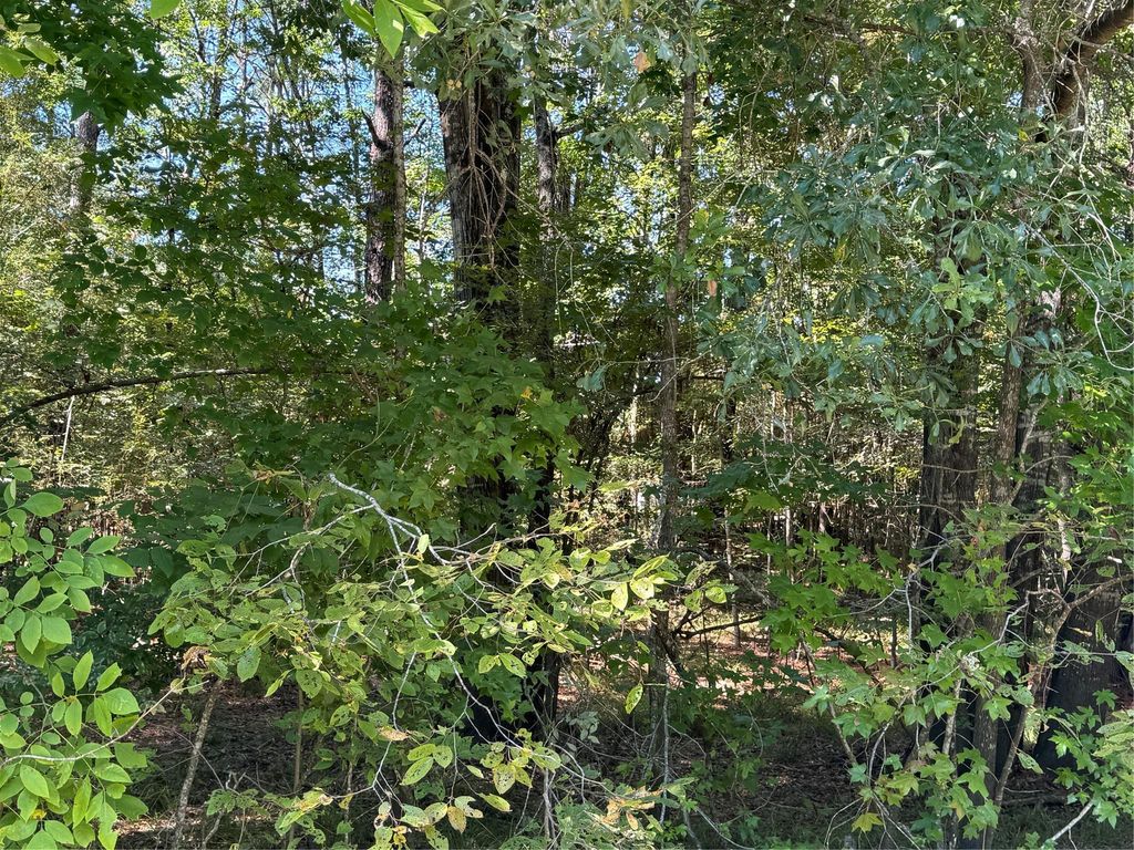 0 Caney Creek, Huntsville, TX 77320