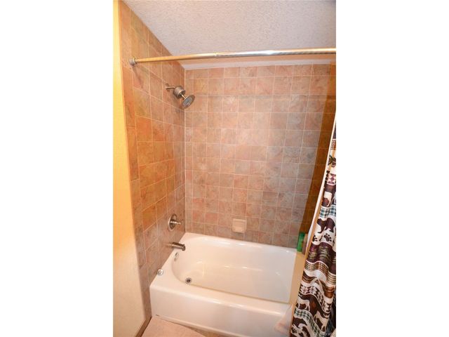 414 Tenderfoot St 9, Dillon, CO 80435