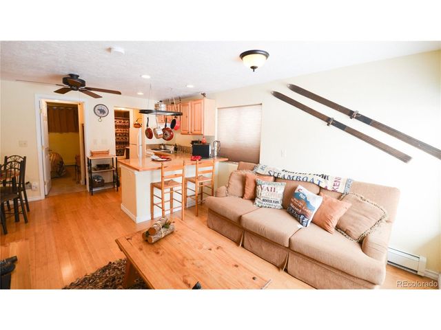 414 Tenderfoot St 9, Dillon, CO 80435