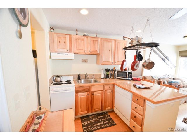 414 Tenderfoot St 9, Dillon, CO 80435