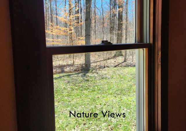 2570 S Walnut Avenue, White Cloud, MI 49349
