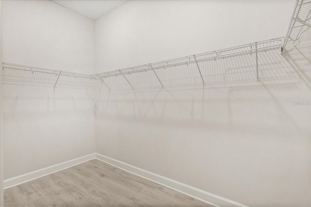 956 TASSLEFLOWER TRAIL, St Cloud, FL 34771