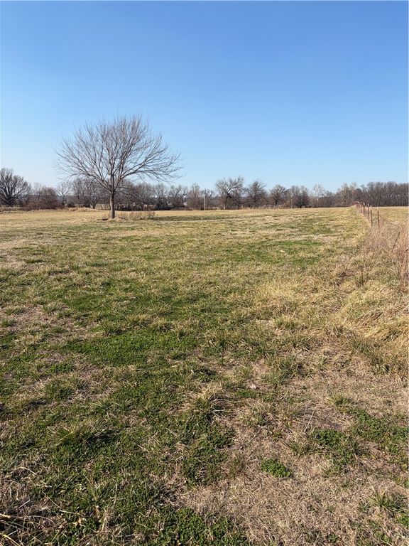 Curtis, Lincoln, AR 72744