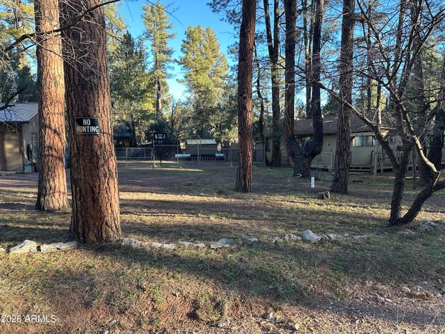 6384 W JAN Drive, Pine, AZ 85544