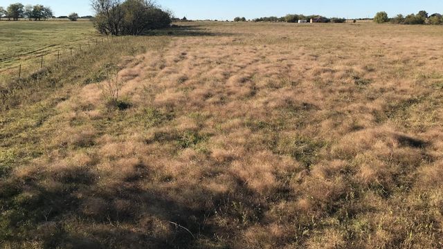 TBD E Fm 550, Mclendon Chisholm, TX 75032