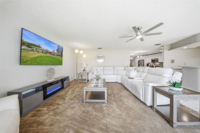 20140 W COUNTY LINE ROAD, Lutz, FL 33558