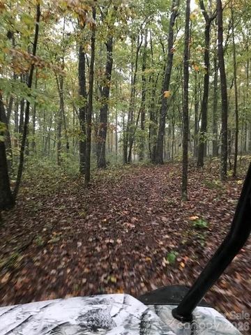9999 Little Creek Drive, Nebo, NC 28761