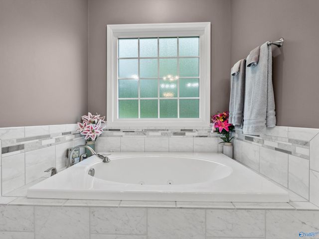 20 Section Mountain Road, Somerville, AL 35670
