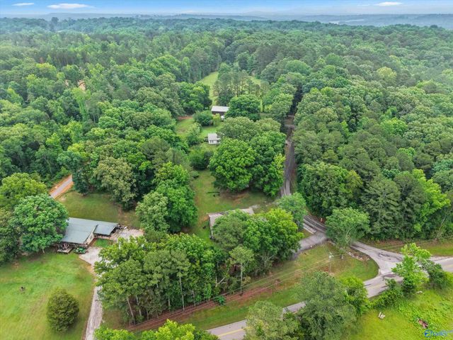 20 Section Mountain Road, Somerville, AL 35670