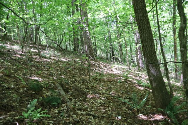 0 Parksbrook Road, Ellijay, GA 30540