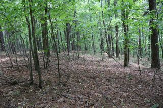 0 Parksbrook Road, Ellijay, GA 30540