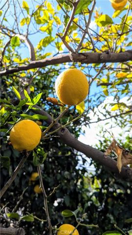 1826 Front Street, Alhambra, CA 91803