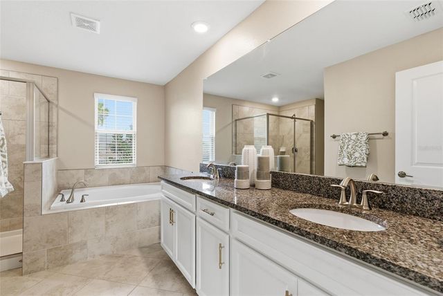 8553 SAVORY WALK DRIVE, Land O Lakes, FL 34637