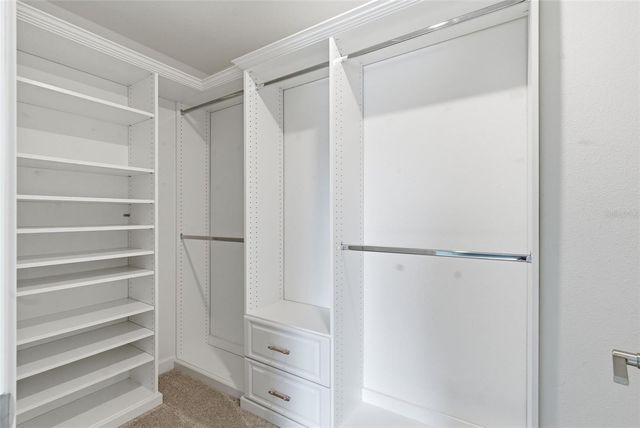 8553 SAVORY WALK DRIVE, Land O Lakes, FL 34637