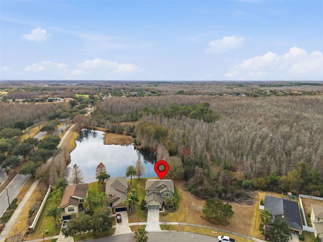 8553 SAVORY WALK DRIVE, Land O Lakes, FL 34637