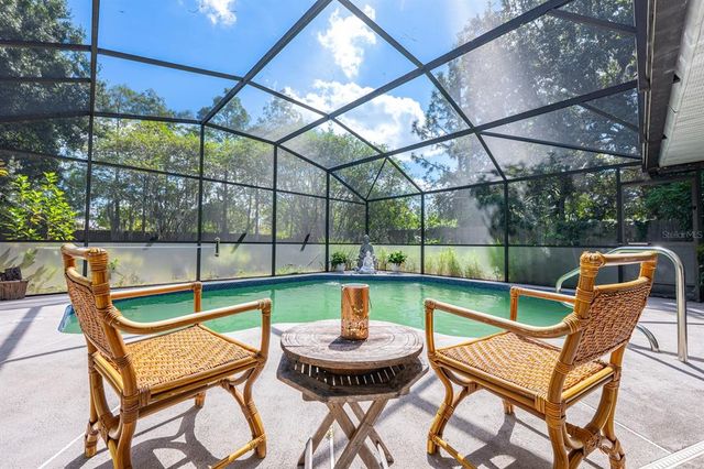 619 S DELMONTE COURT, Kissimmee, FL 34758