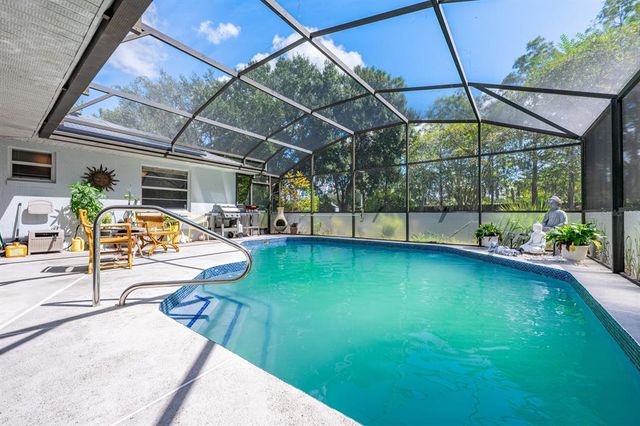 619 S DELMONTE COURT, Kissimmee, FL 34758