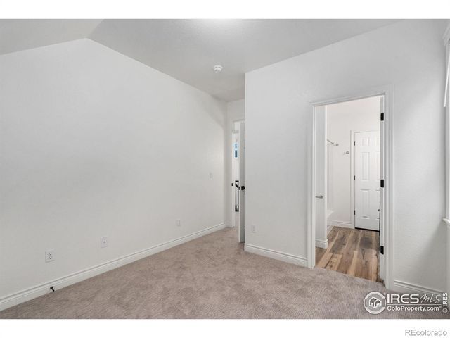 1116 Grand Avenue, Windsor, CO 80550