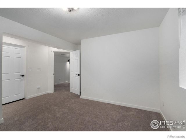 1116 Grand Avenue, Windsor, CO 80550