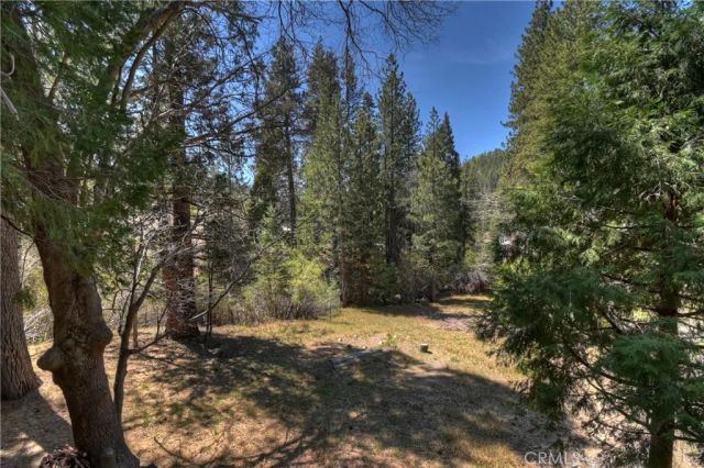 32868 Conifer Camp, Arrowbear, CA 92382