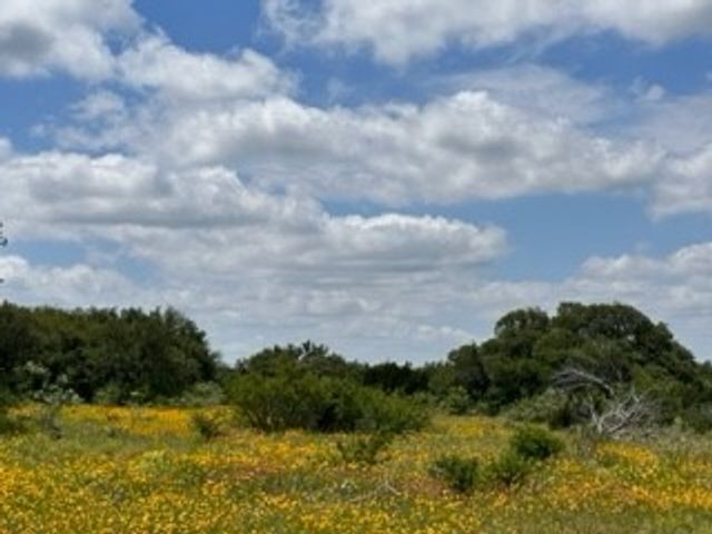 128 Fm 2492, Brownwood, TX 76801