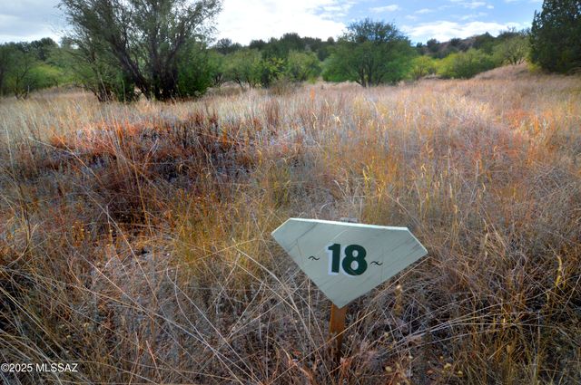 118 Tanglehead Lane, Patagonia, AZ 85624