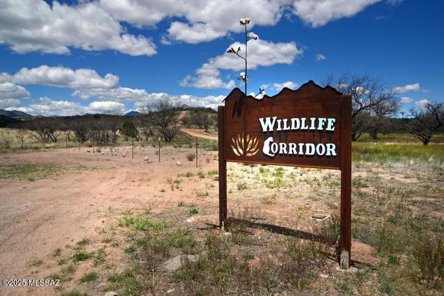 118 Tanglehead Lane, Patagonia, AZ 85624