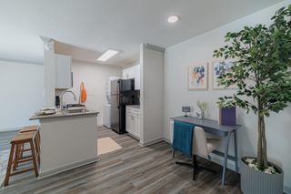 200 Hallow Tree Lane 1035-1, Houston, TX 77090