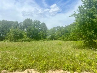 Lot 2 Highway 112, Cassville, MO 65623