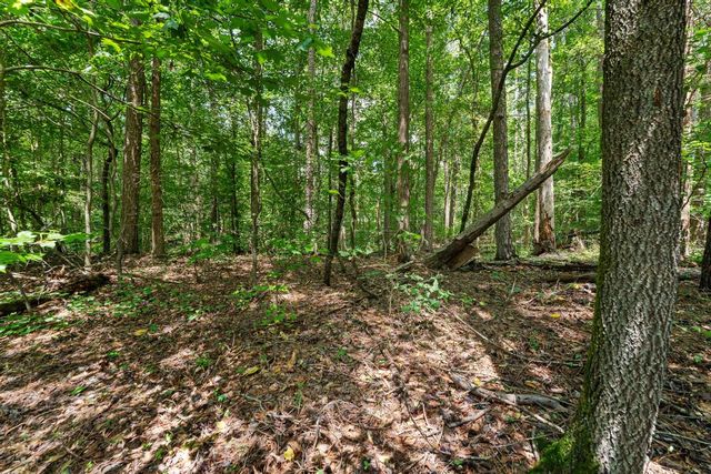 Lot 1111 Bunker Lane, Westminster, SC 29693