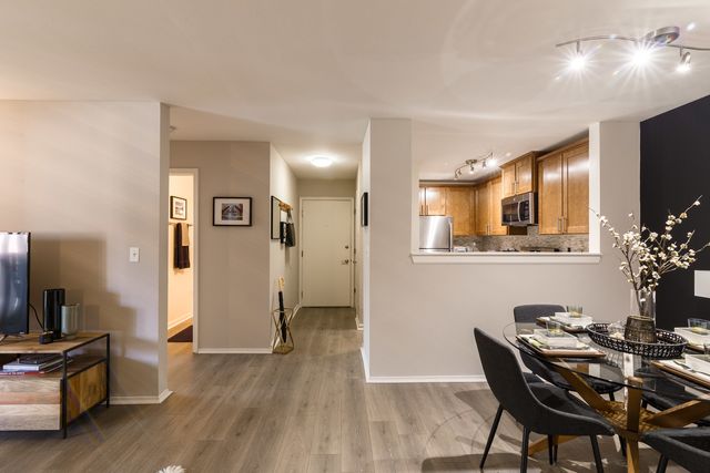 1681 E Green Briar Drive 3835, Schaumburg, IL 60173