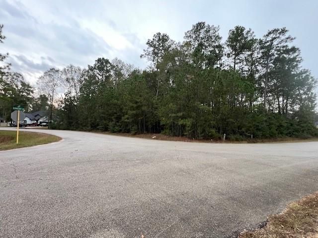 27702 Colapis Drive, Splendora, TX 77372